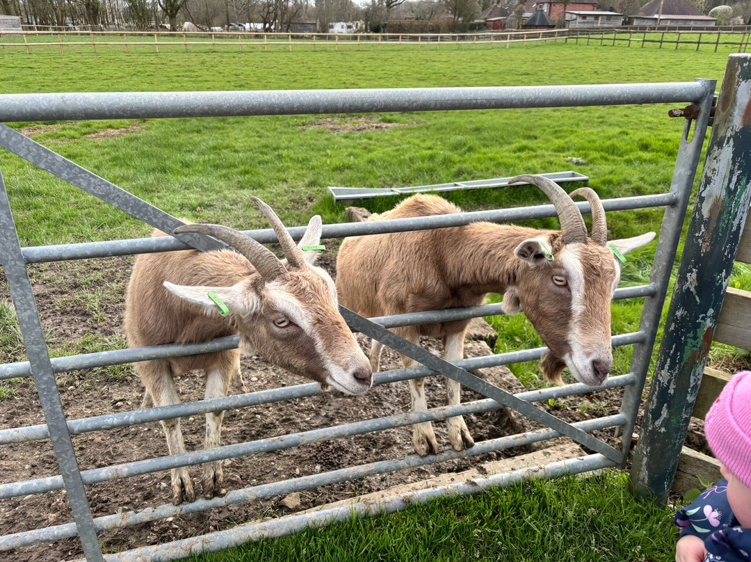 Blackberry Farm Park-刘易斯必去景点