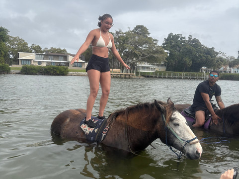 Florida Beach Horses-布雷登顿必去景点