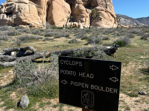 Cliffhanger Guides-约书亚树必去景点