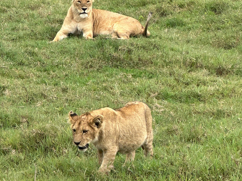 Mamnana Adventures-Olasiti必去景点