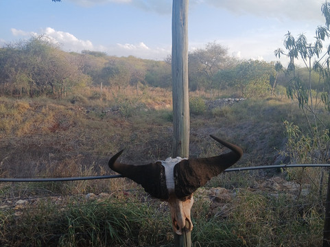 Oldonyo Orok Lodge主图