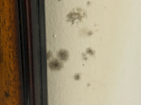 曼斯菲尔德松林旅馆及餐厅主图