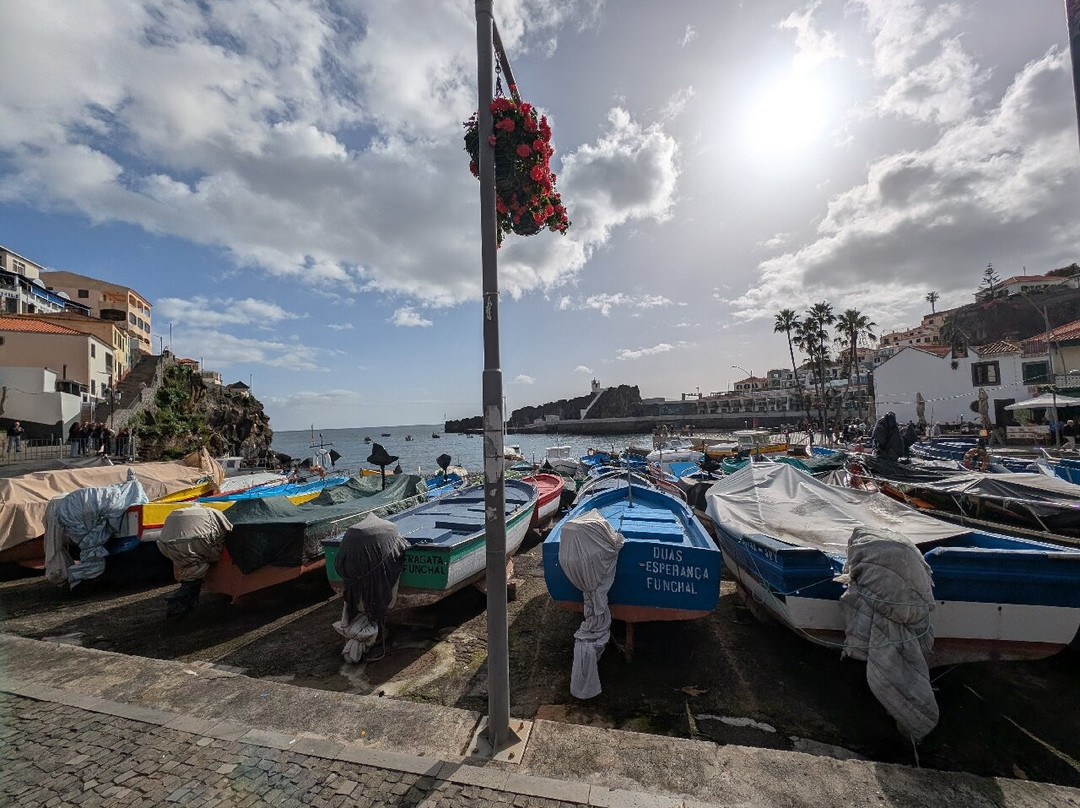 Baia de Camara de Lobos-Camara De Lobos必去景点