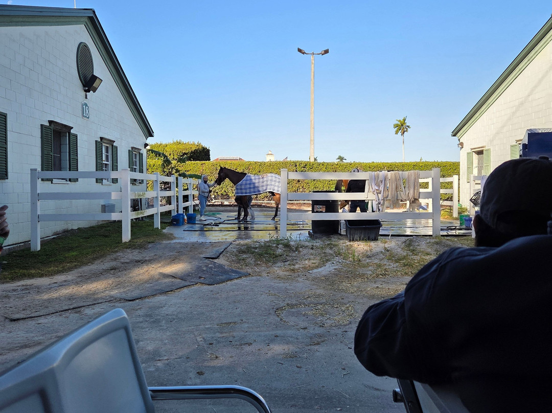 Gulfstream Park Racing and Casino-哈伦代尔海滩必去景点