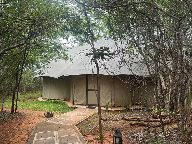 大象营地酒店-官方