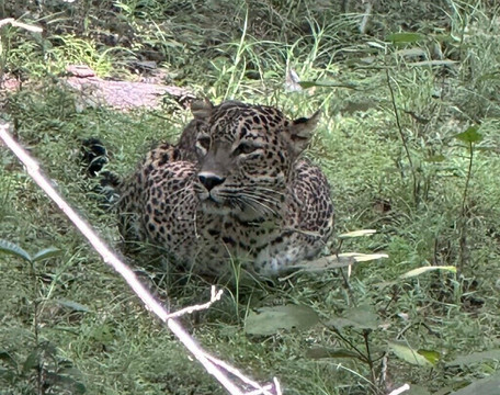 Jay’S Tours-科伦坡必去景点