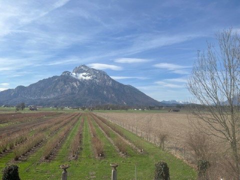 努玛一号常春藤客房酒店-官方