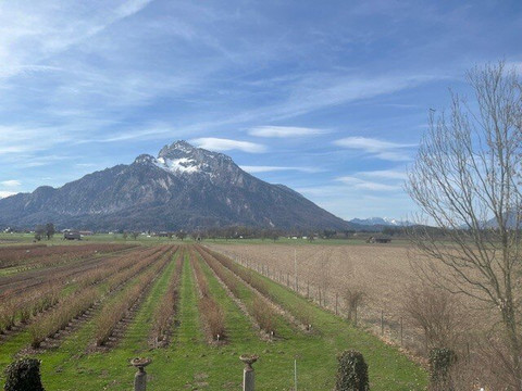 努玛一号常春藤客房酒店主图