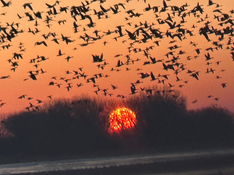 Crane Trust-Wood River必去景点