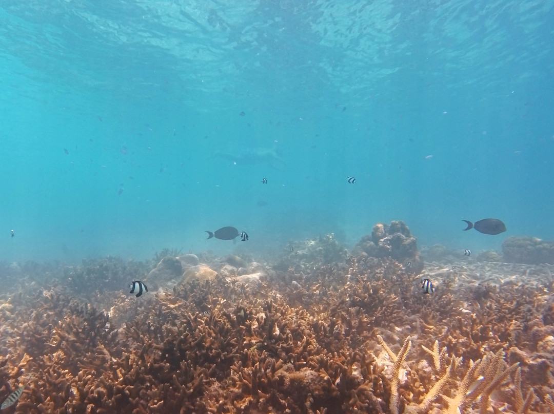 马尔代夫美禄岛度假村主图