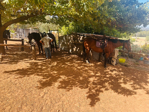 Langford Hill Riding Farm-Waroona必去景点