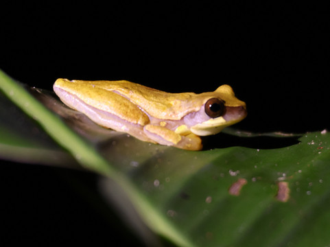 Manuel Tour Guide-卡维塔必去景点