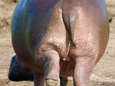 Big 5 Africa Tours-Bobingen必去景点