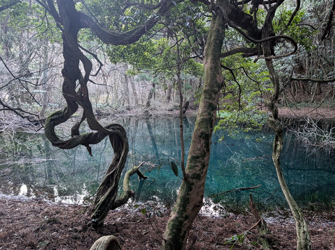 Maruiikesama Pond-游佐町必去景点