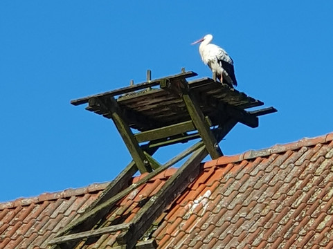 Heimat-Tierpark Olderdissen-比勒费尔德必去景点