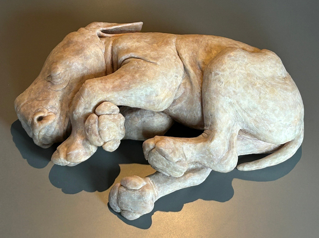 Museum More - Kasteel Ruurlo-Ruurlo必去景点