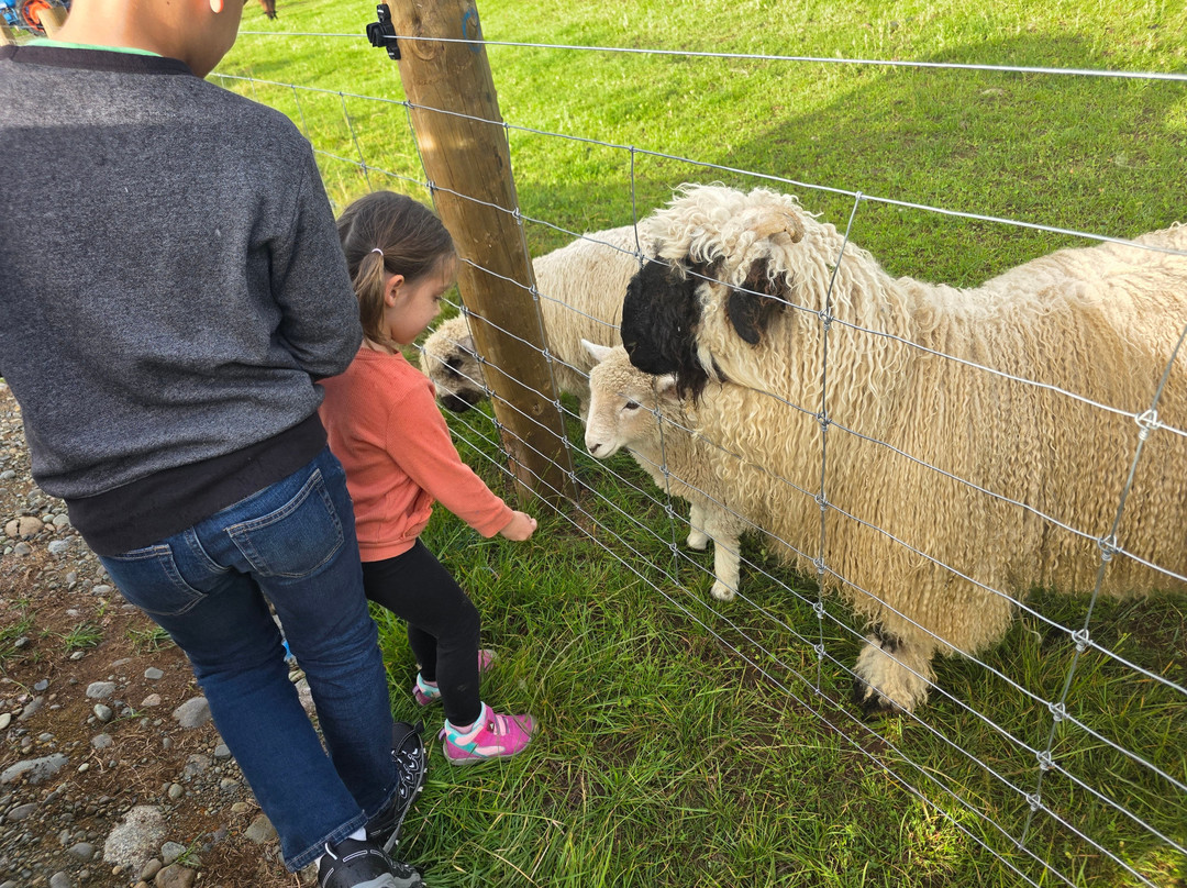Woodstone Farm, Te Anau, New Zealand-蒂阿瑙必去景点