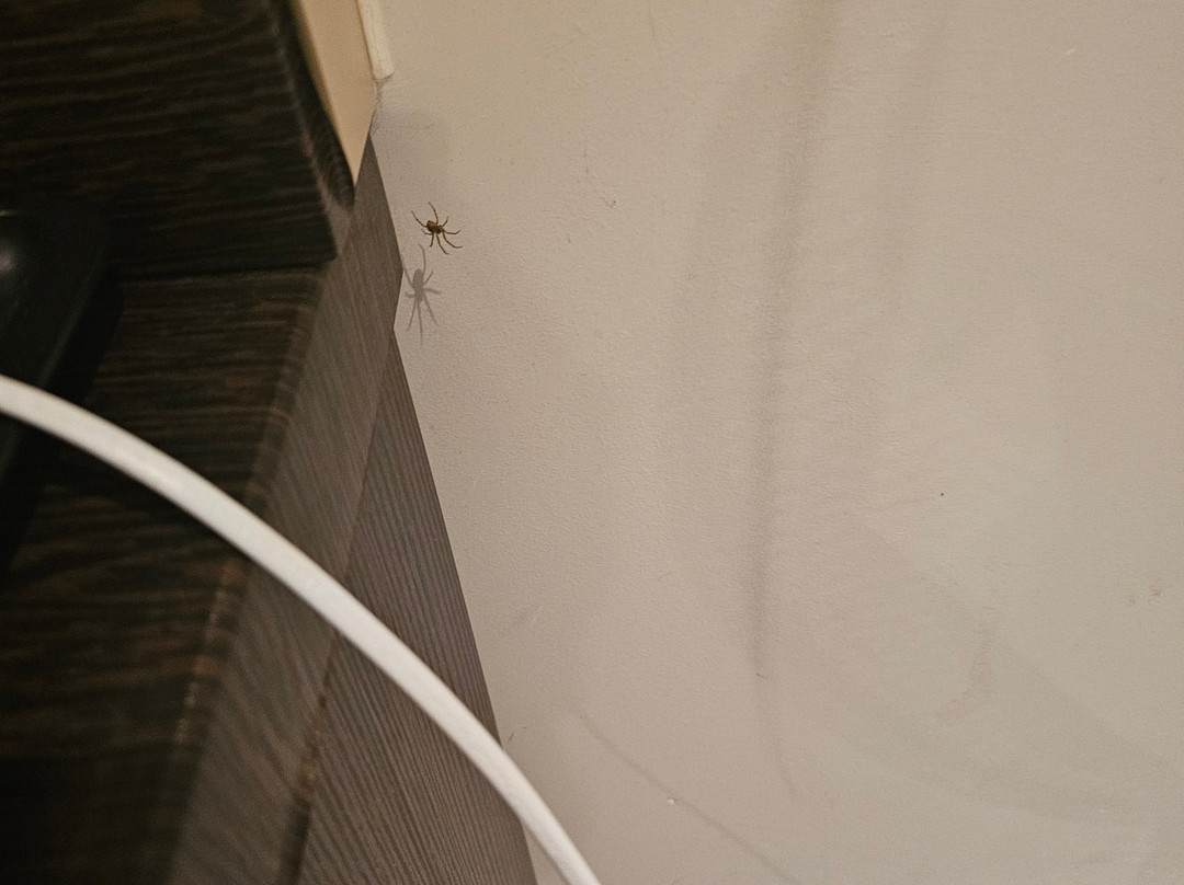 莱姆纽卡斯尔普瑞米尔酒店主图