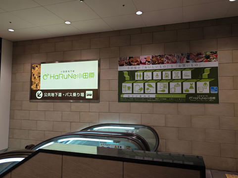 Harune Odawara-小田原市必去景点