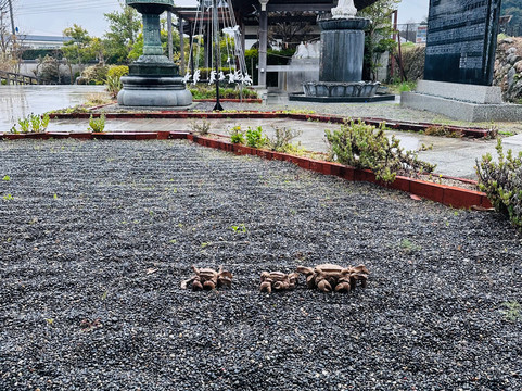 Awajima Island Hachijouji-淡路市必去景点