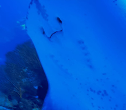 Poema Del Mar-大加那利岛拉斯帕尔马斯必去景点