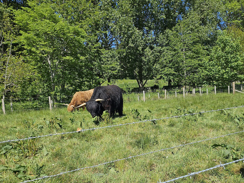 Caledonian Canal-因弗内斯必去景点
