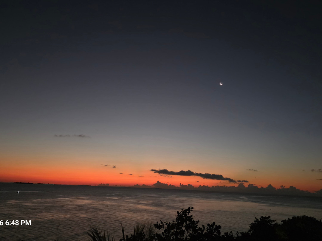 Papa Fish Excursions-乌库拉斯必去景点