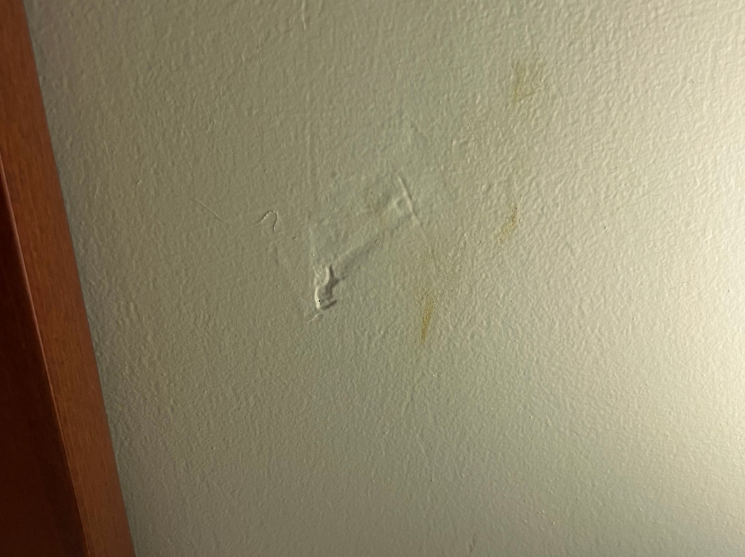 奥斯汀镇温德姆戴斯酒店主图