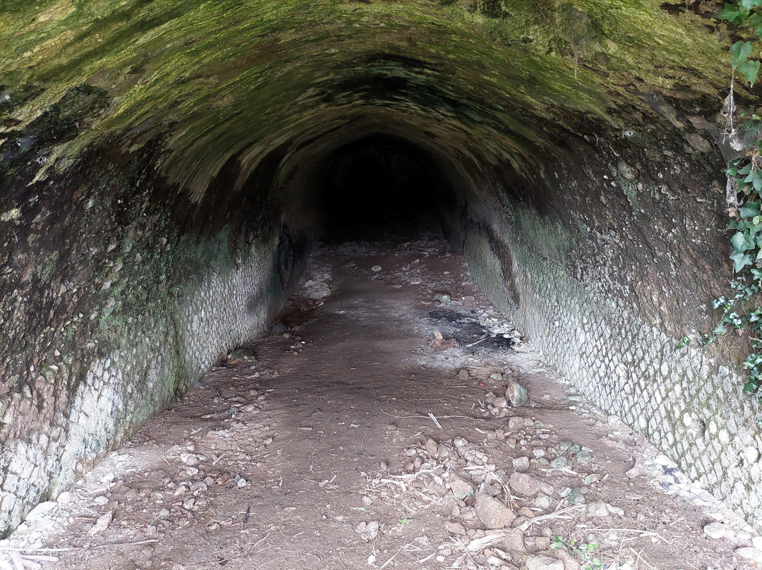 Parco Archeologico Di Otricoli-Otricoli必去景点