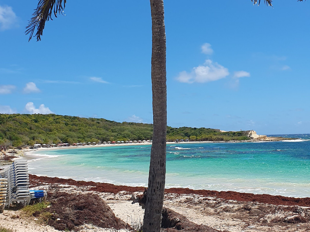 Antigua Chiama Italia Tour-Jolly Harbour必去景点