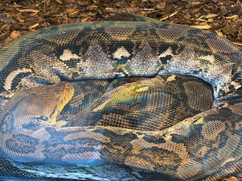 Parco Zoo Falconara-Falconara Marittima必去景点