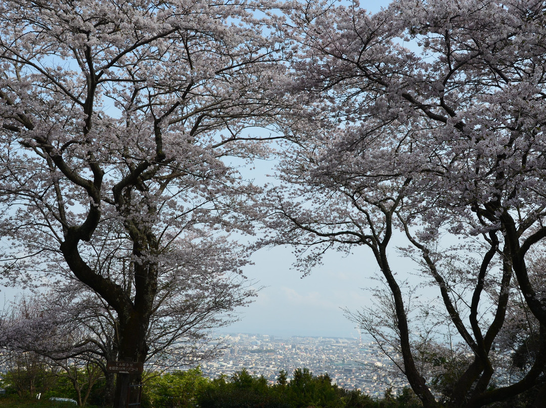 Iwamotoyama Park-富士市必去景点