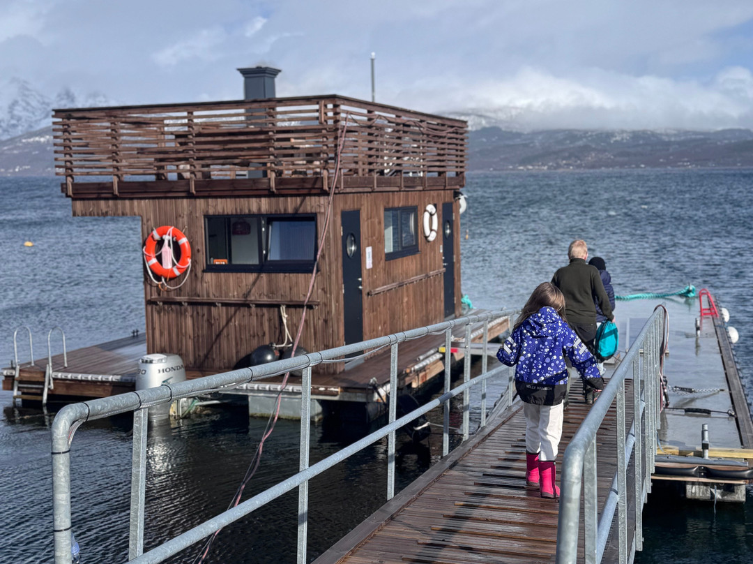 Kleksen Saunaboat-Bogen i Ofoten必去景点