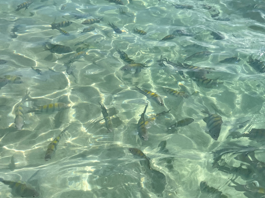 Cupe beach-嘎林海斯港必去景点