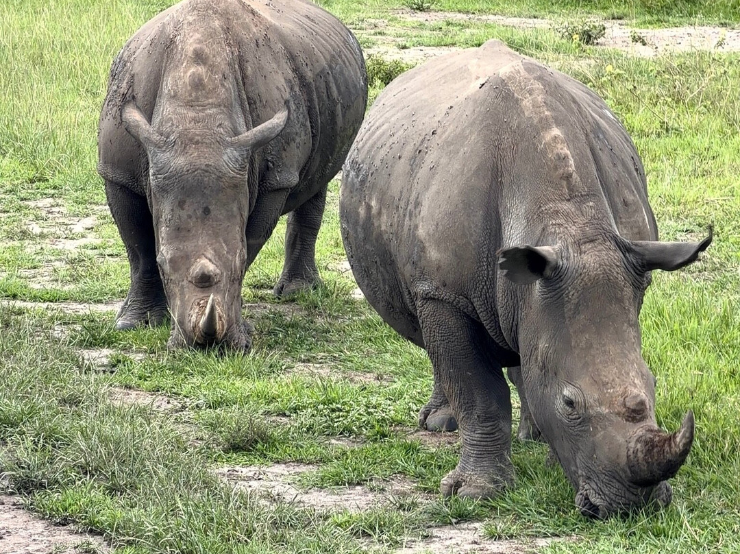 Go Discover Africa-吉佳利必去景点