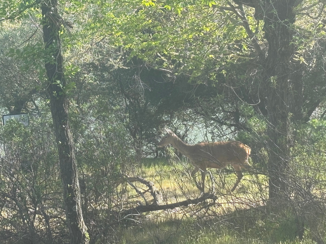 Monfrague Natural Ecoturismo-Malpartida de Plasencia必去景点