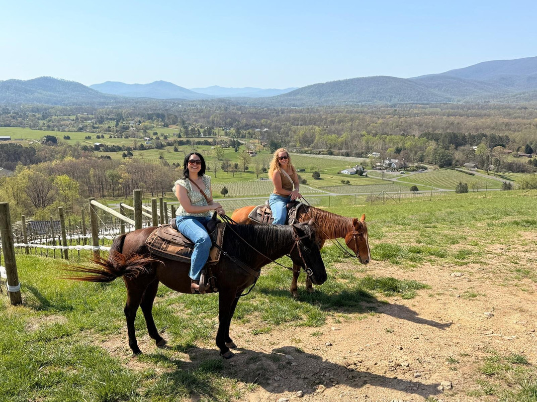 Indian Summer Guide Service-夏洛茨维尔必去景点