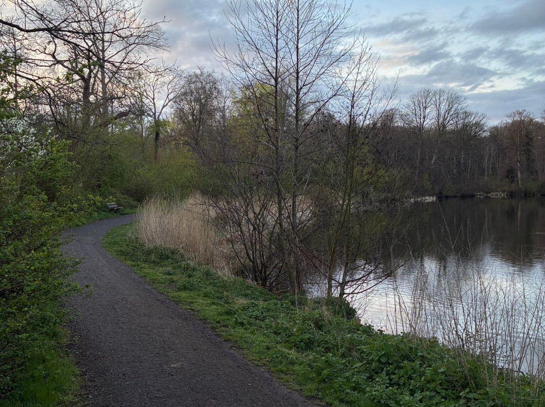 Brouwerskolkpark-Overveen必去景点