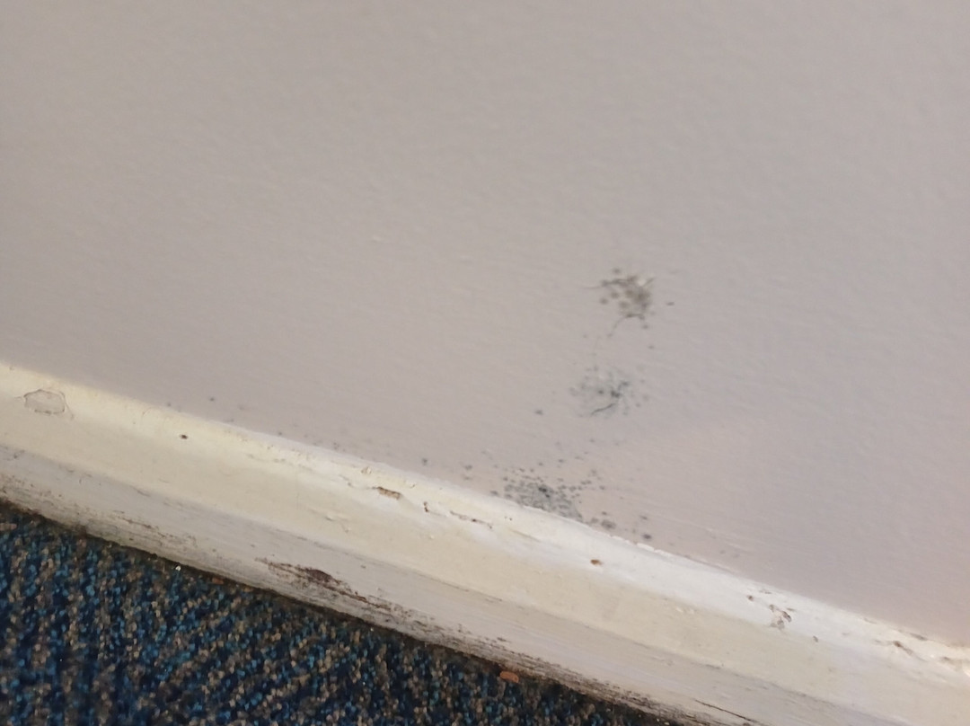 巴恩斯利旅屋酒店主图