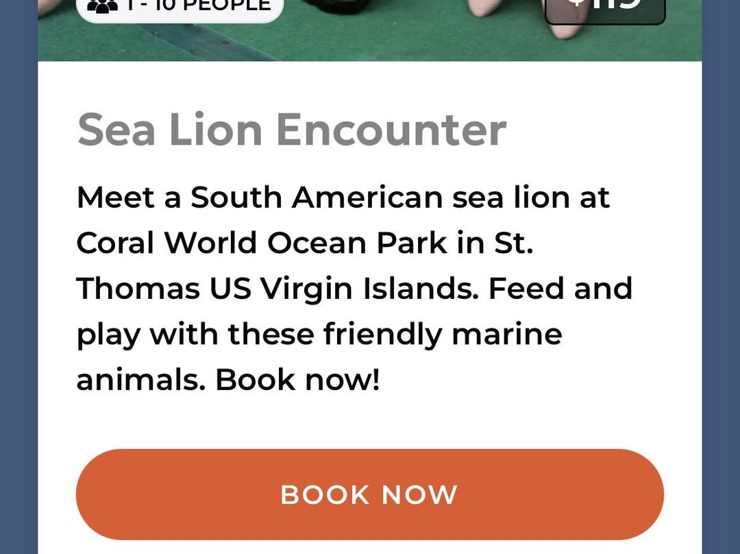 Coral World Ocean Park-Smith Bay必去景点