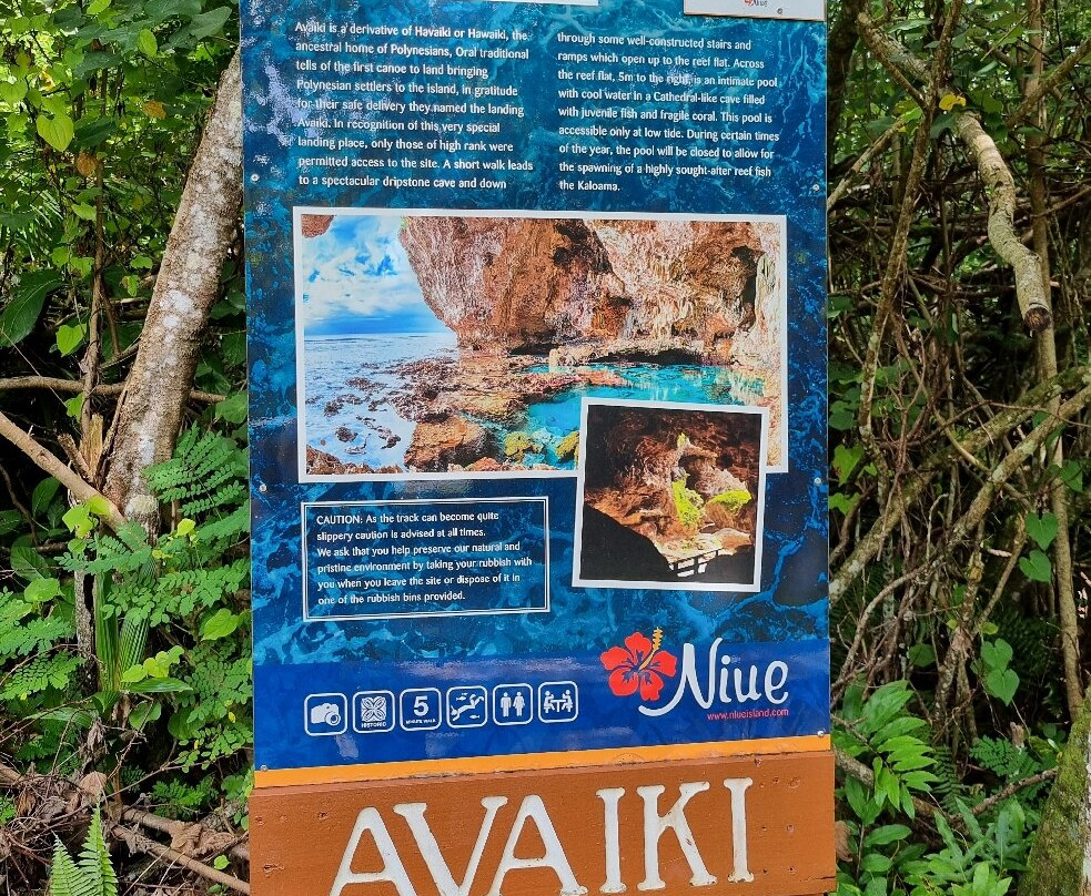 Niue OrientationTour-阿洛菲必去景点