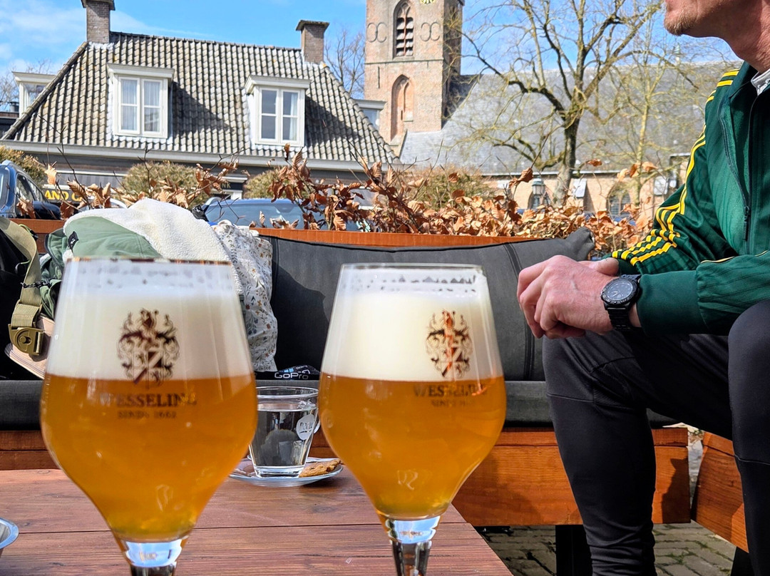 维瑟林酒店主图