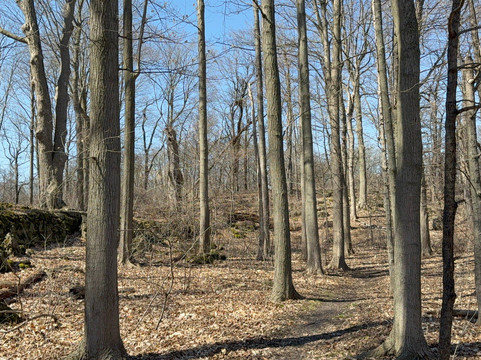 Eramosa Karst Conservation Area-Stoney Creek必去景点