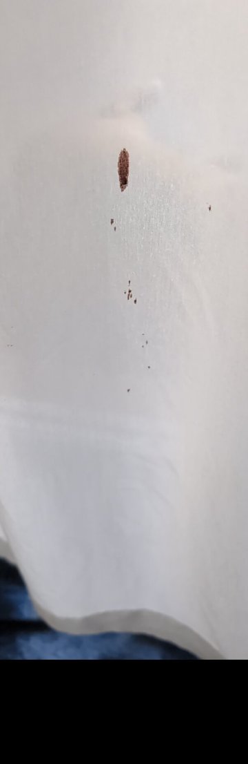 金吉拉大西部汽车旅馆-官方