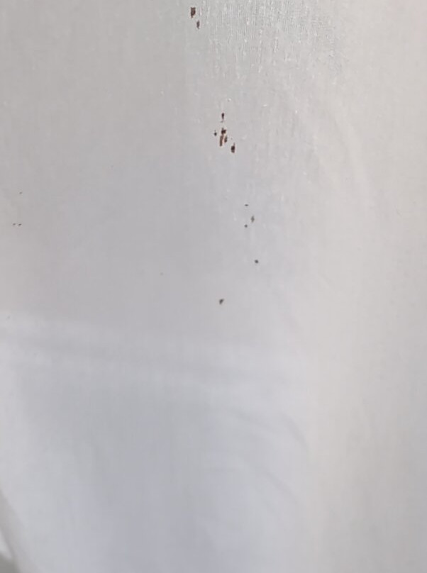 金吉拉大西部汽车旅馆主图