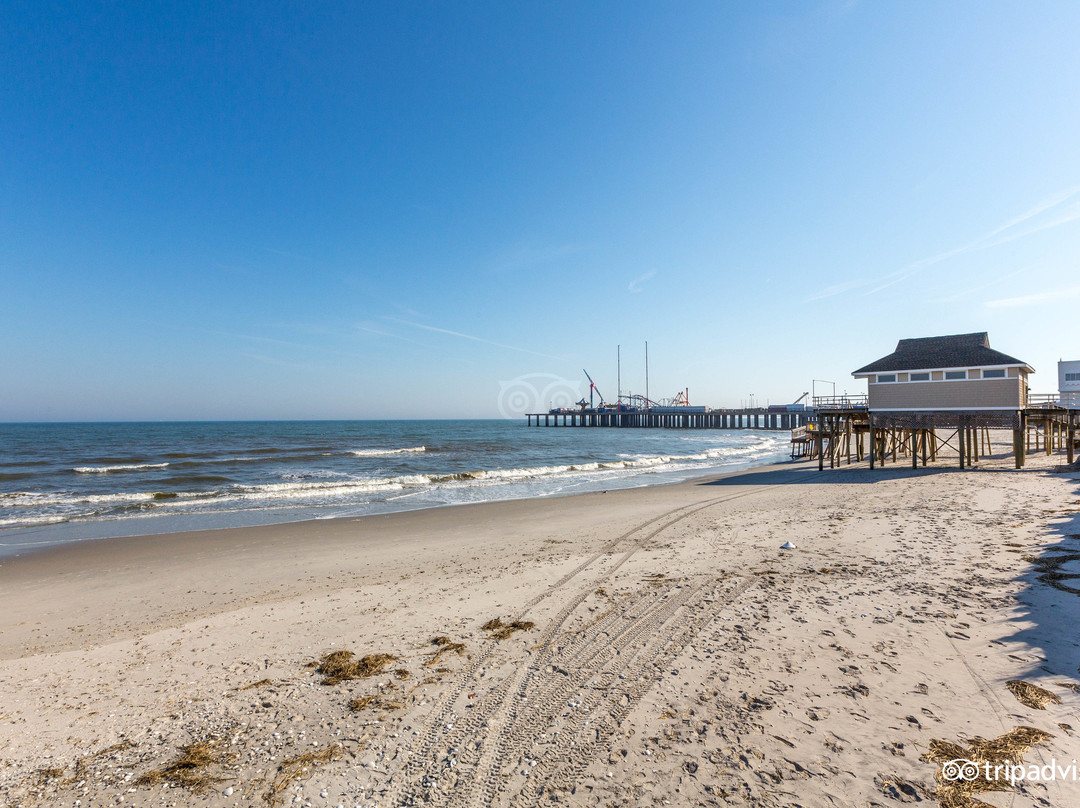 Brigantine酒店住宿-Showboat Atlantic City Hotel