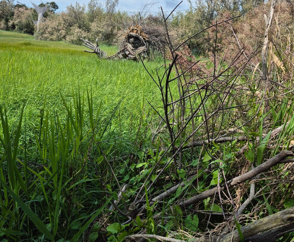 Monumento Naturale Palude di Torre Flavia-拉迪斯波利必去景点