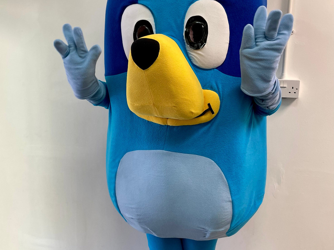 Tiny Town Soft Play & Cafe-Hasland必去景点