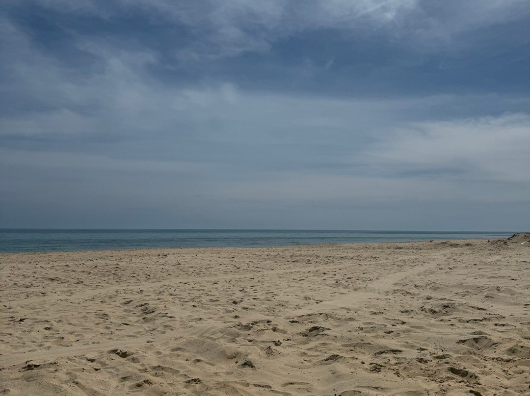 Nahrawess Resort & Thalasso主图