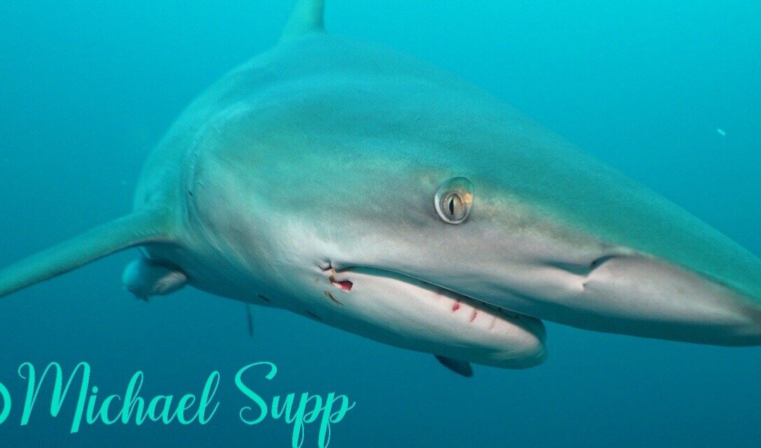 African Watersports-Umkomaas必去景点